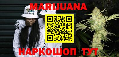 МДПВ Рыбинск