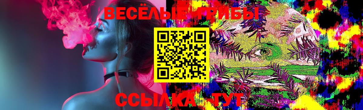 Сафоново  как найти   Вход с VPN  Псилоцибиновые грибы мухоморы 