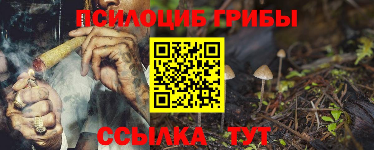 Псилоцибиновые грибы Psilocybe Сафоново